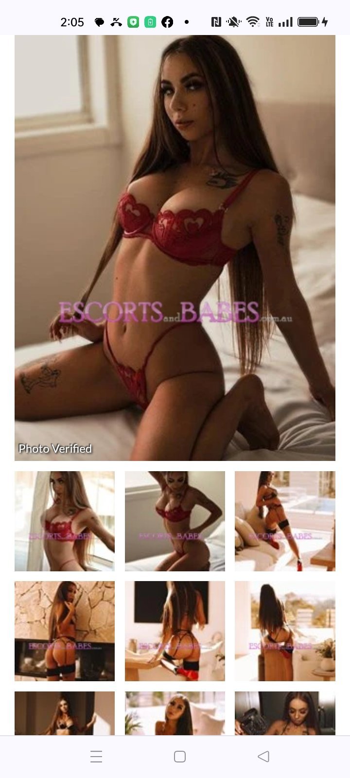 Private Escort - December 2022 - Chanel Fox - QLD Private Escorts Unsorted  Reviews - Punter Planet