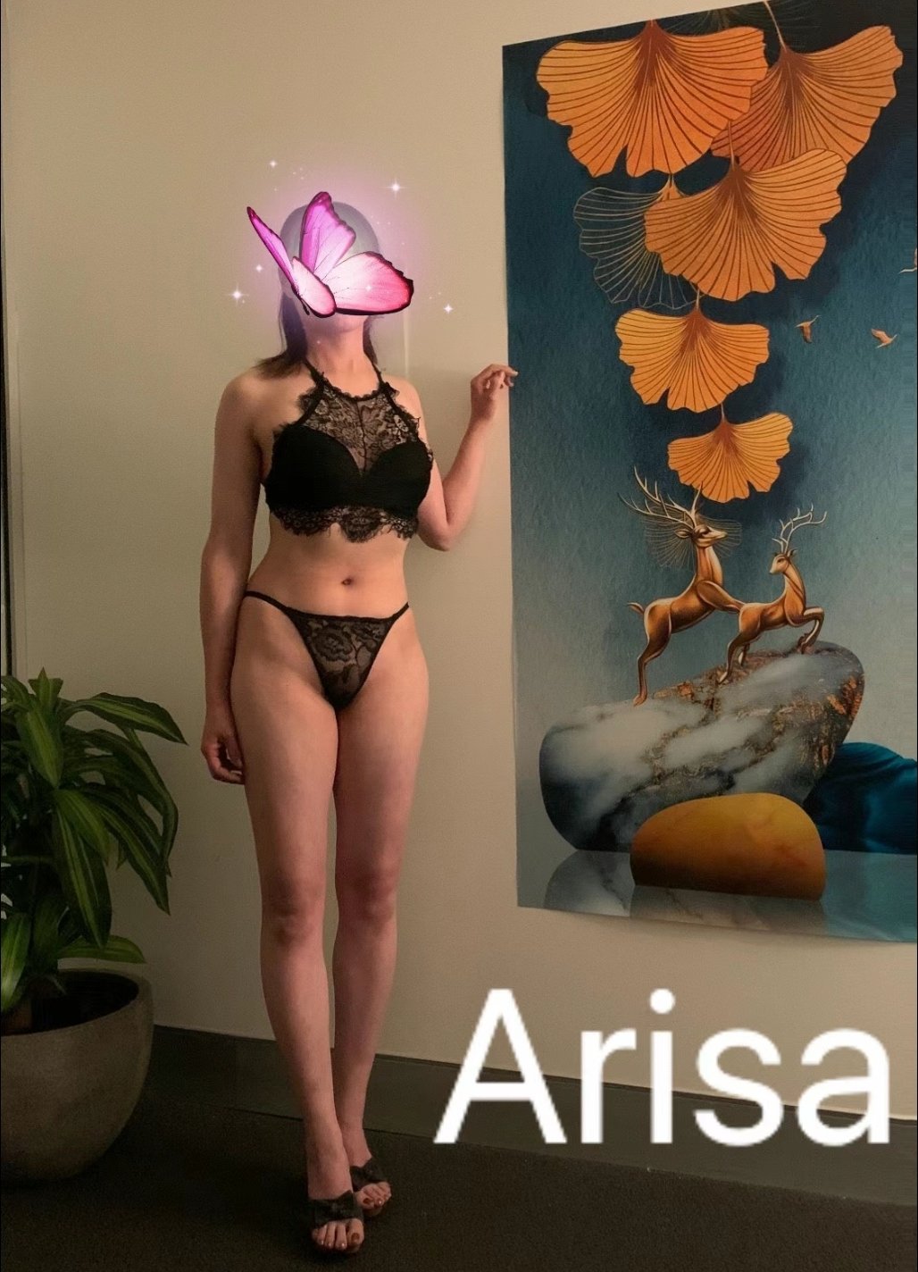 276 CBD Style Massage - May 2023 - Arisa - CBD Style Massage, Sydney ::  (02) 8963 0000 - Punter Planet